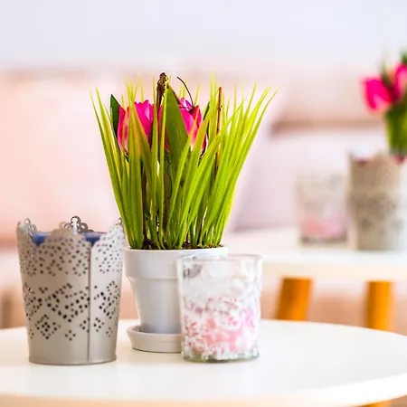 Bacvice Dream Apartman
